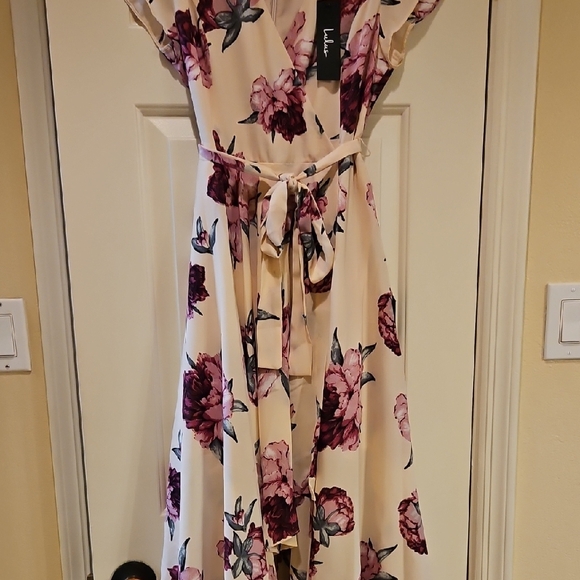 Lulu's Pink and Red Flutter Sleeve Midi Sundress - Picture 4 of 15